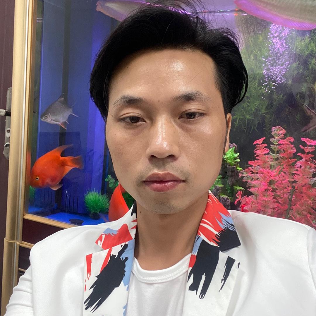 现代罗杨哥
