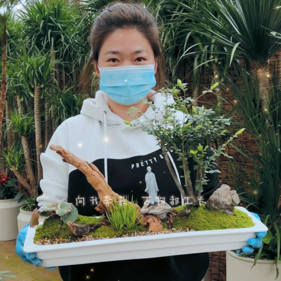 娜娜教你养花～南孔花卉