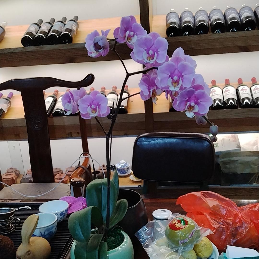 螺丝粉加🐷🦶