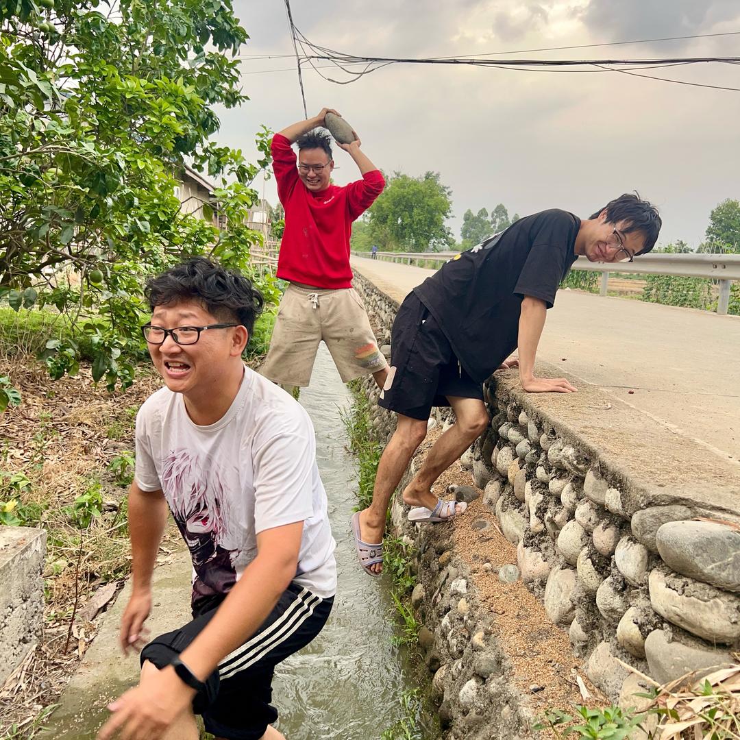 板桥三兄弟