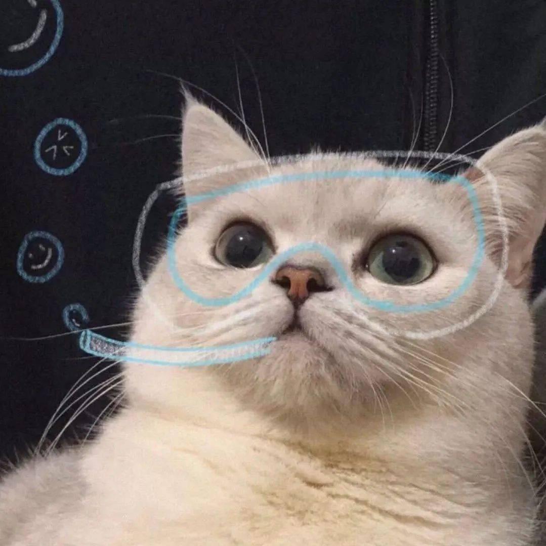 不知名的路人甲