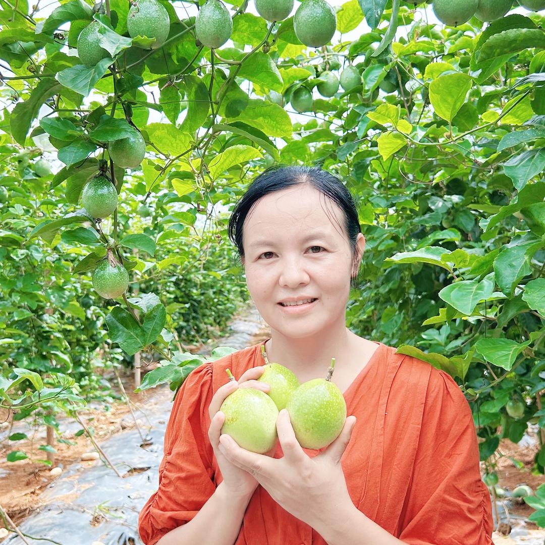 村头好农品