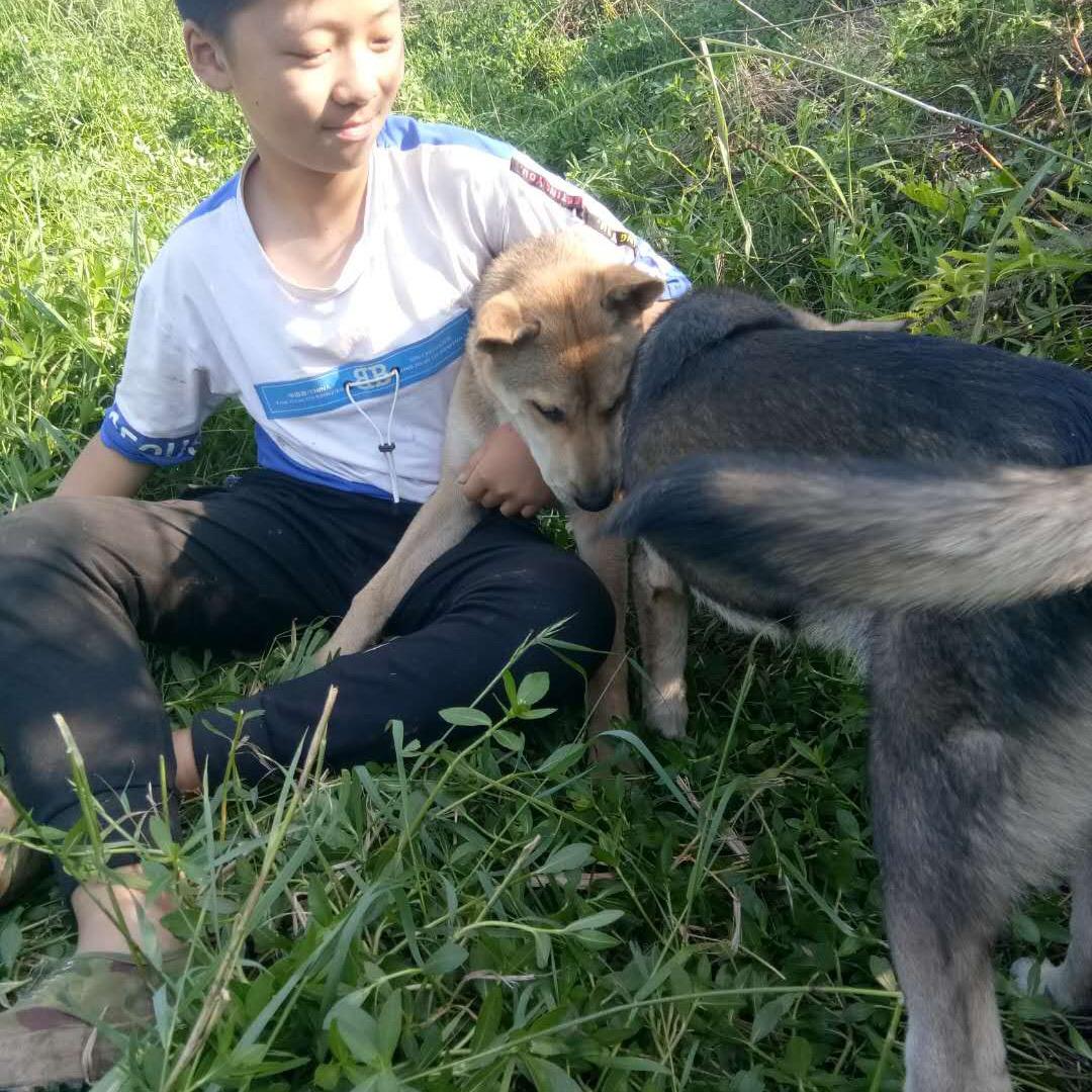 一直阳光