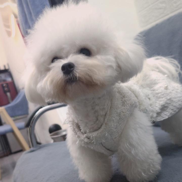 @劉三岁🫧