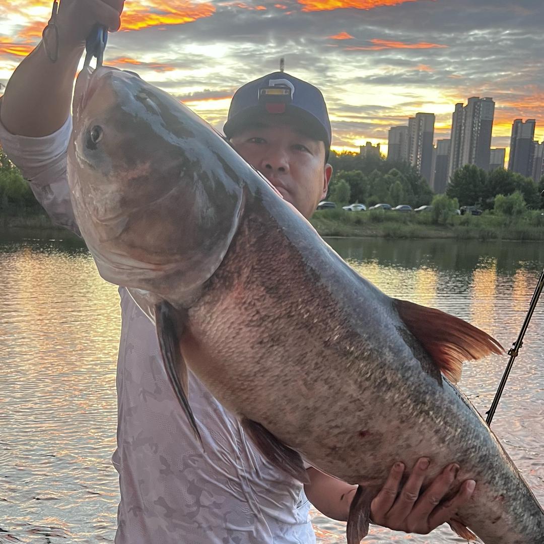 丁涛·刚粉武汉鲢鳙战队