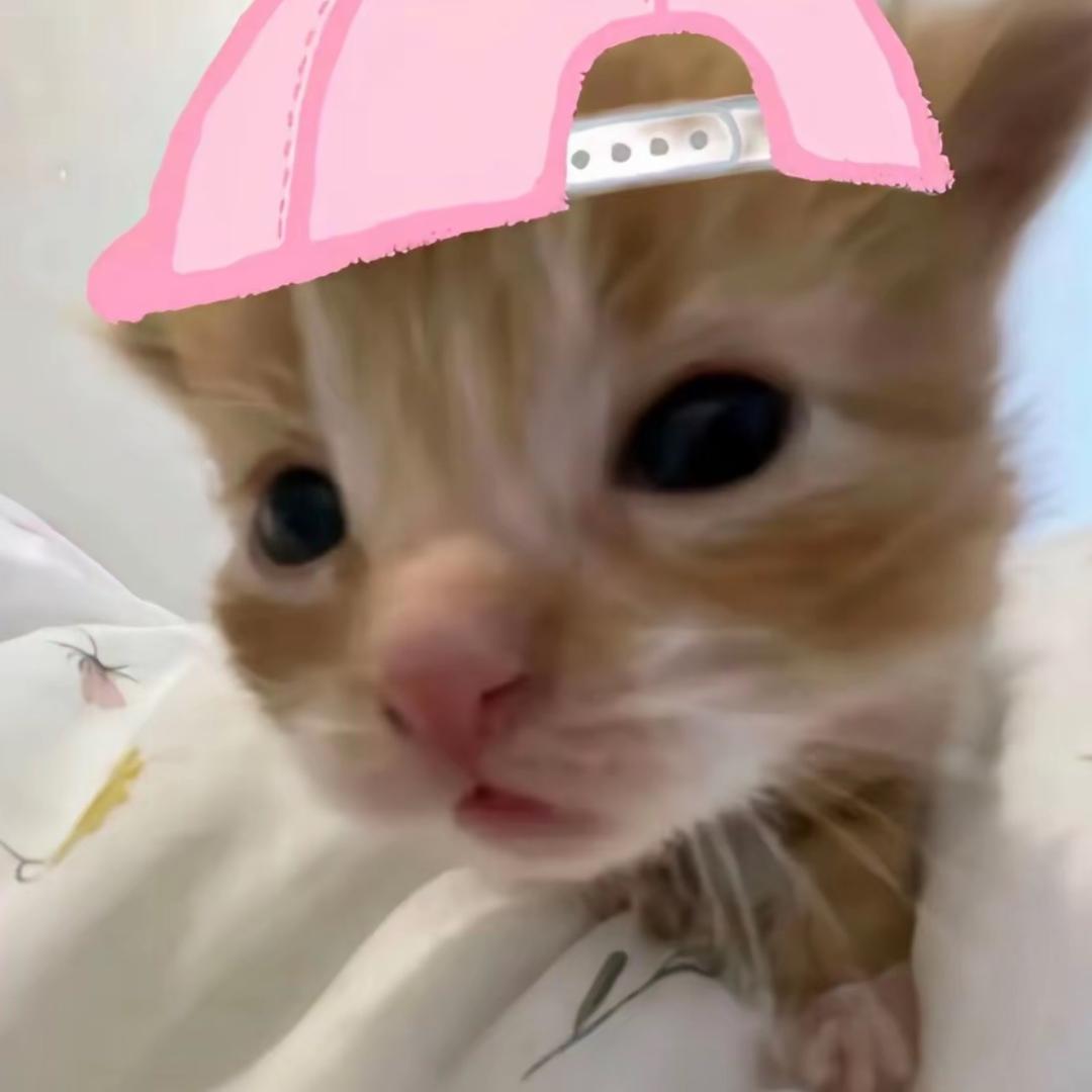 小淘淘
