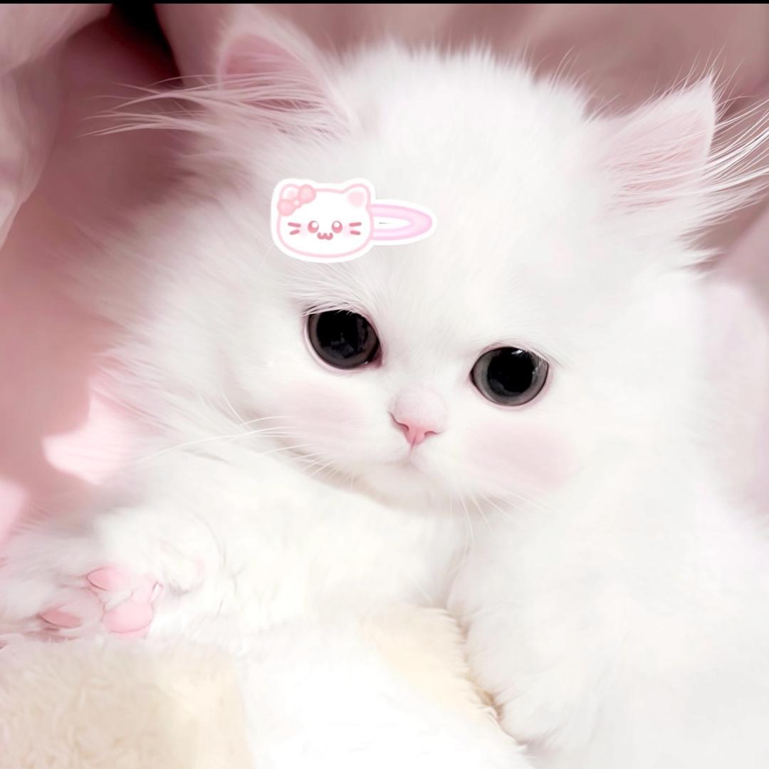 我要发财