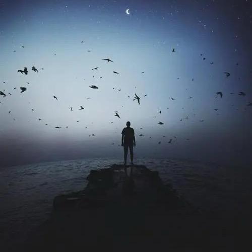 我陪月亮熬夜