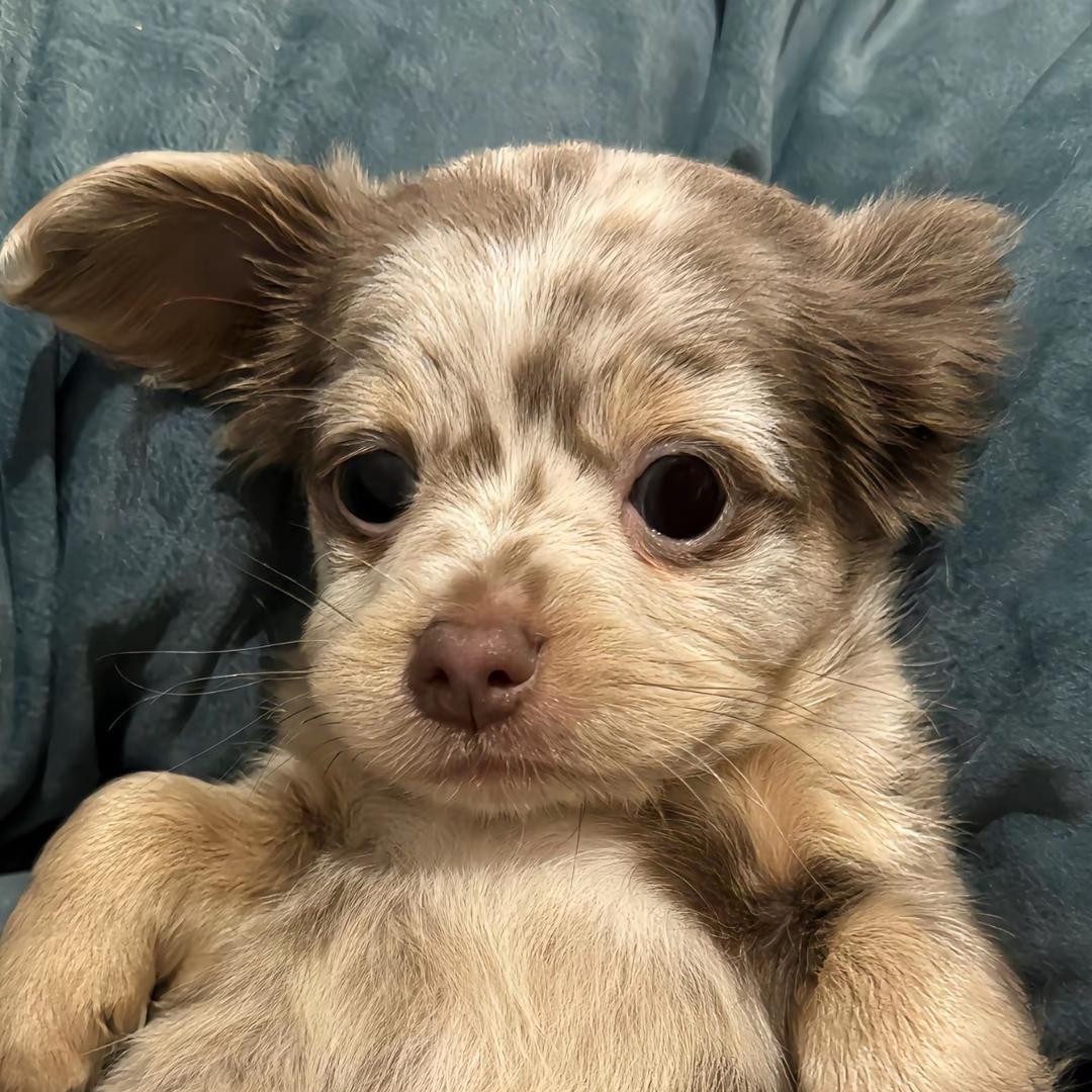 玖玖的好物推荐