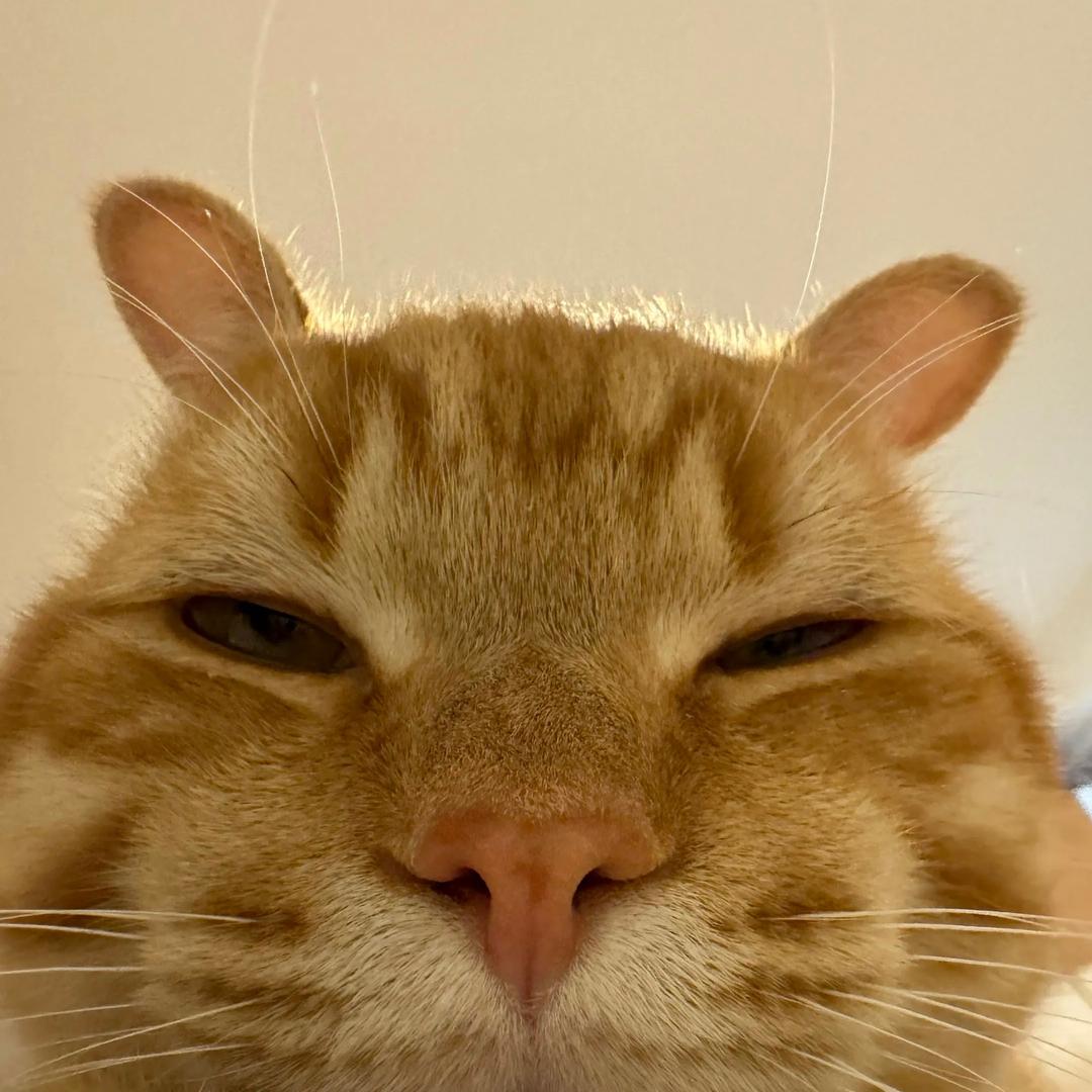晚安💤