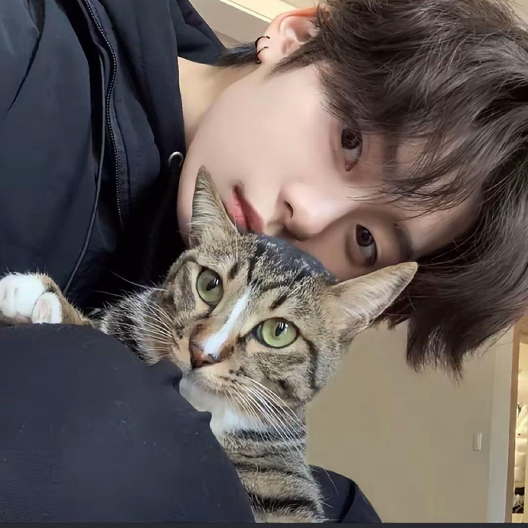 加里不吃奥利奥