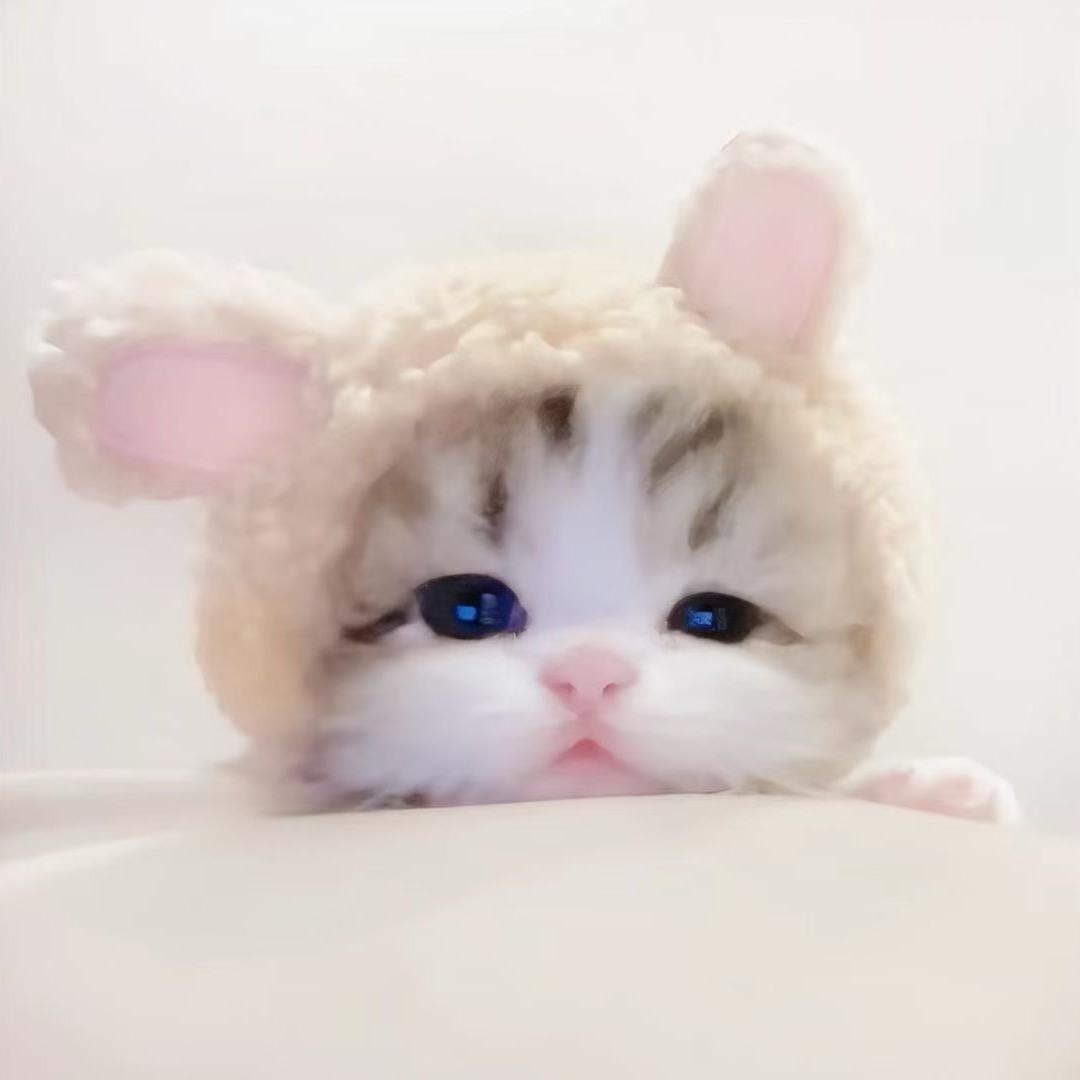 极品艾斯（168.5