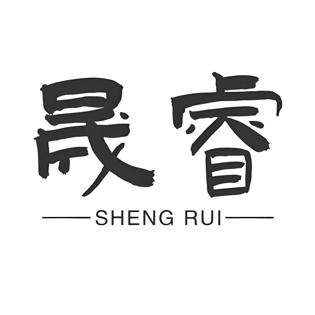 晟睿男装服饰