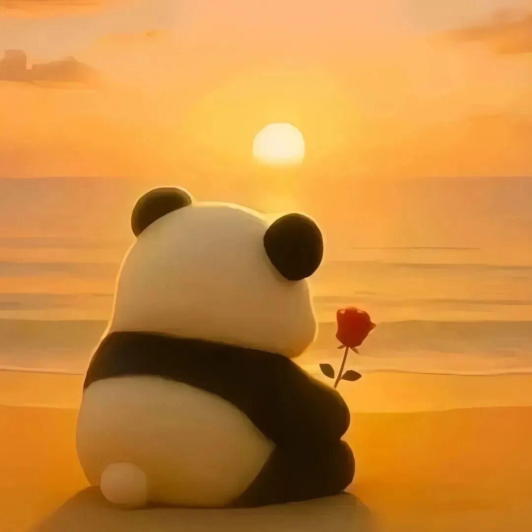 ❤️鑫想事陈🍊