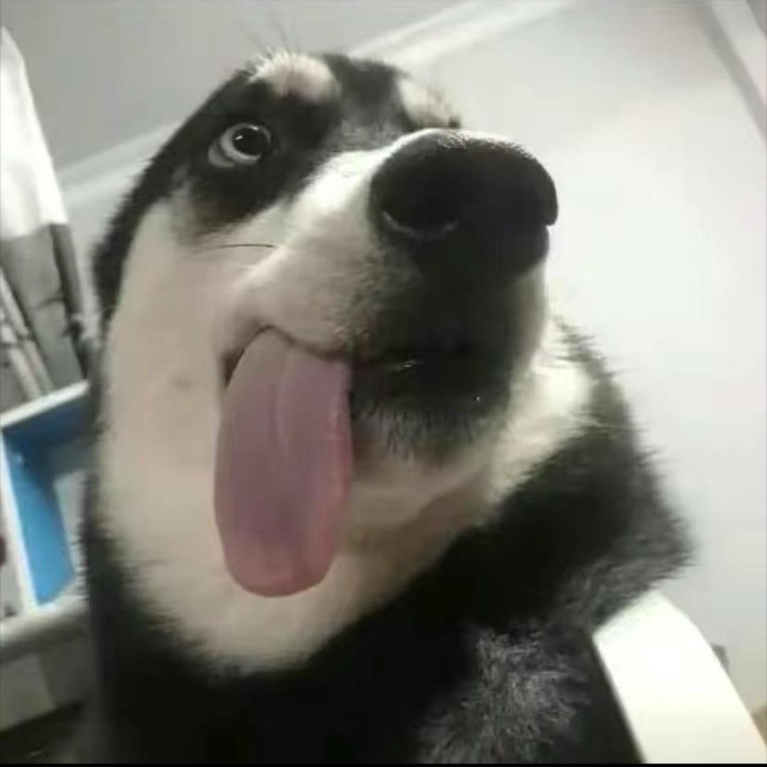 冰岛的风