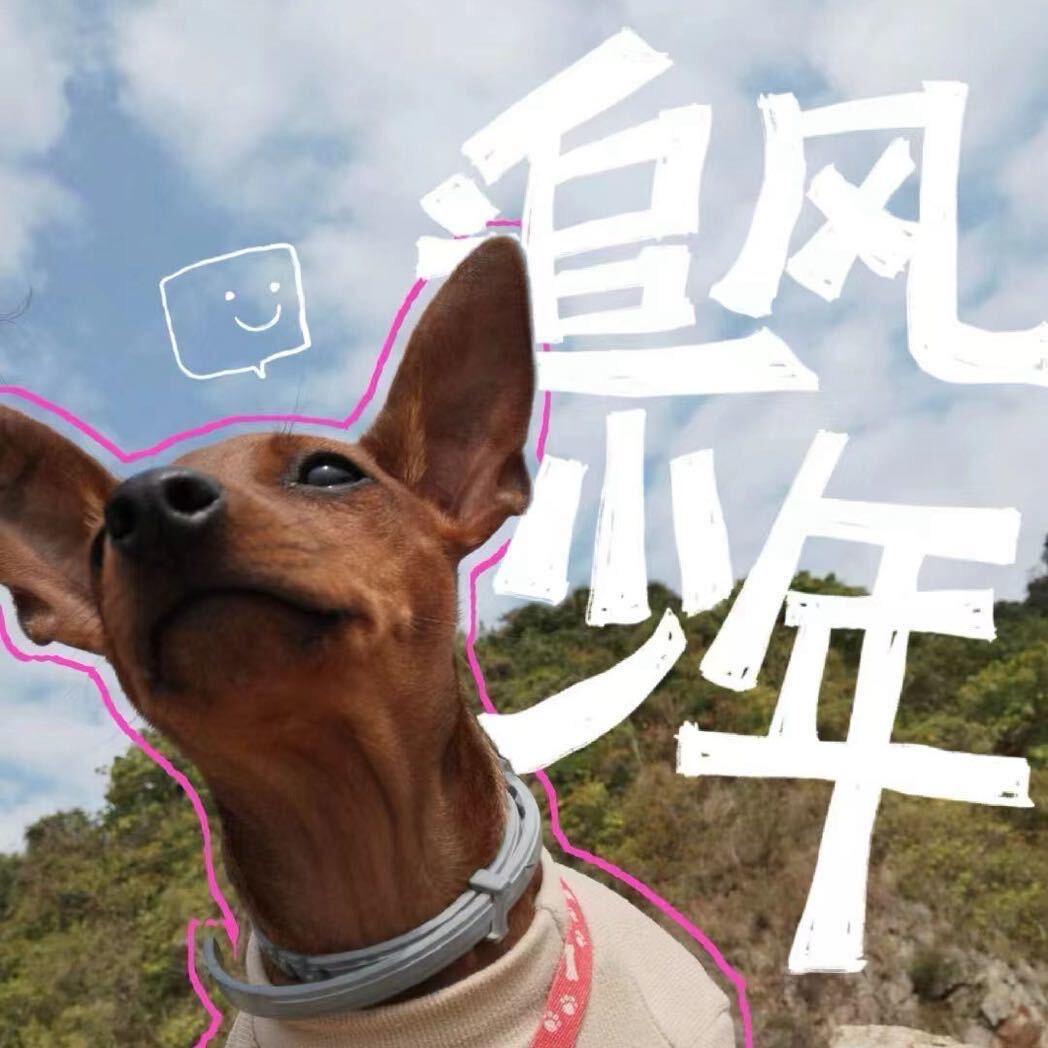 吉侬的花束💐