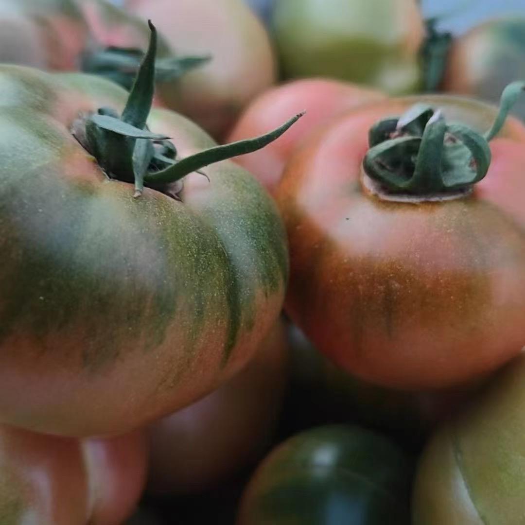 爱吃🦐的小护士