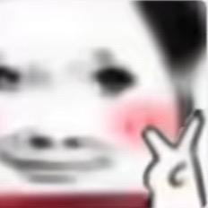 人老实话不多
