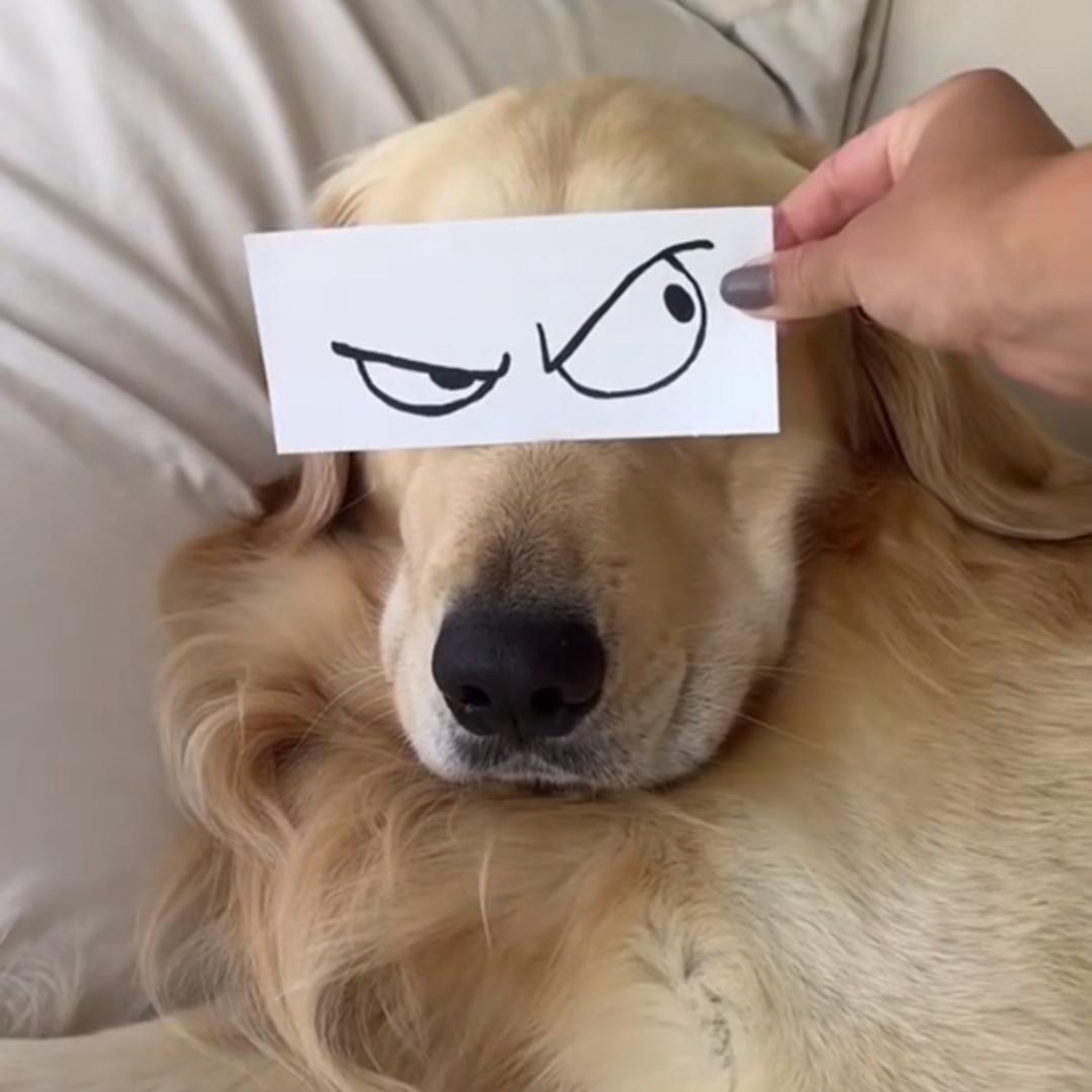 蜡笔老舅