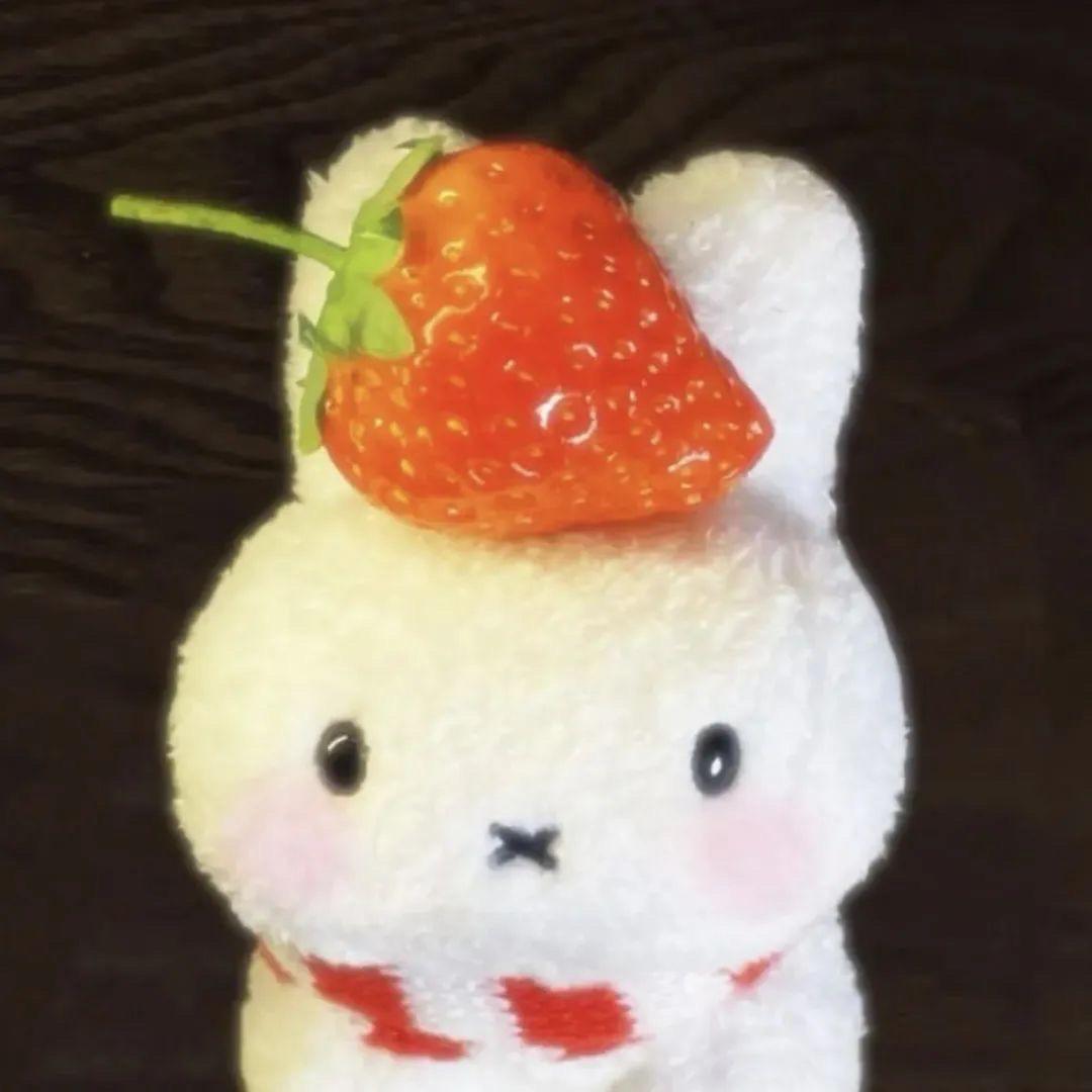 小小小ρ