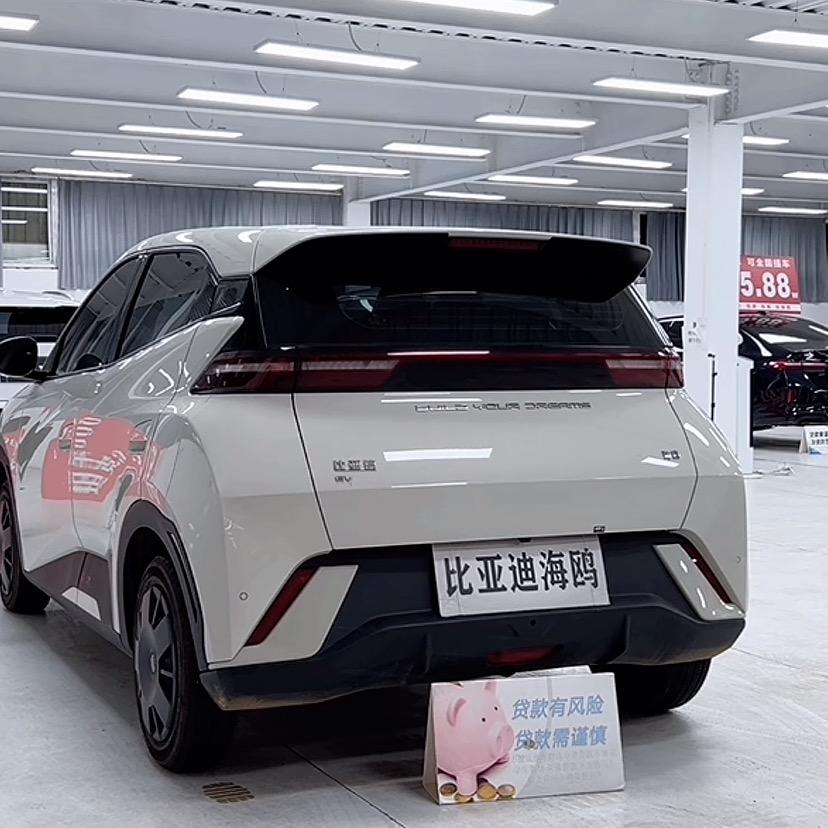 BYD.海欧