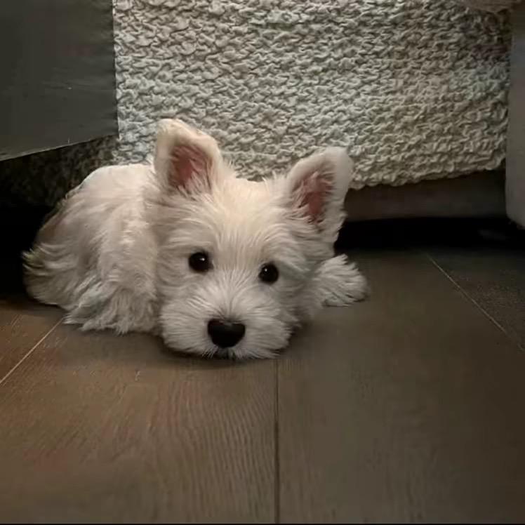 伤心能走医保吗