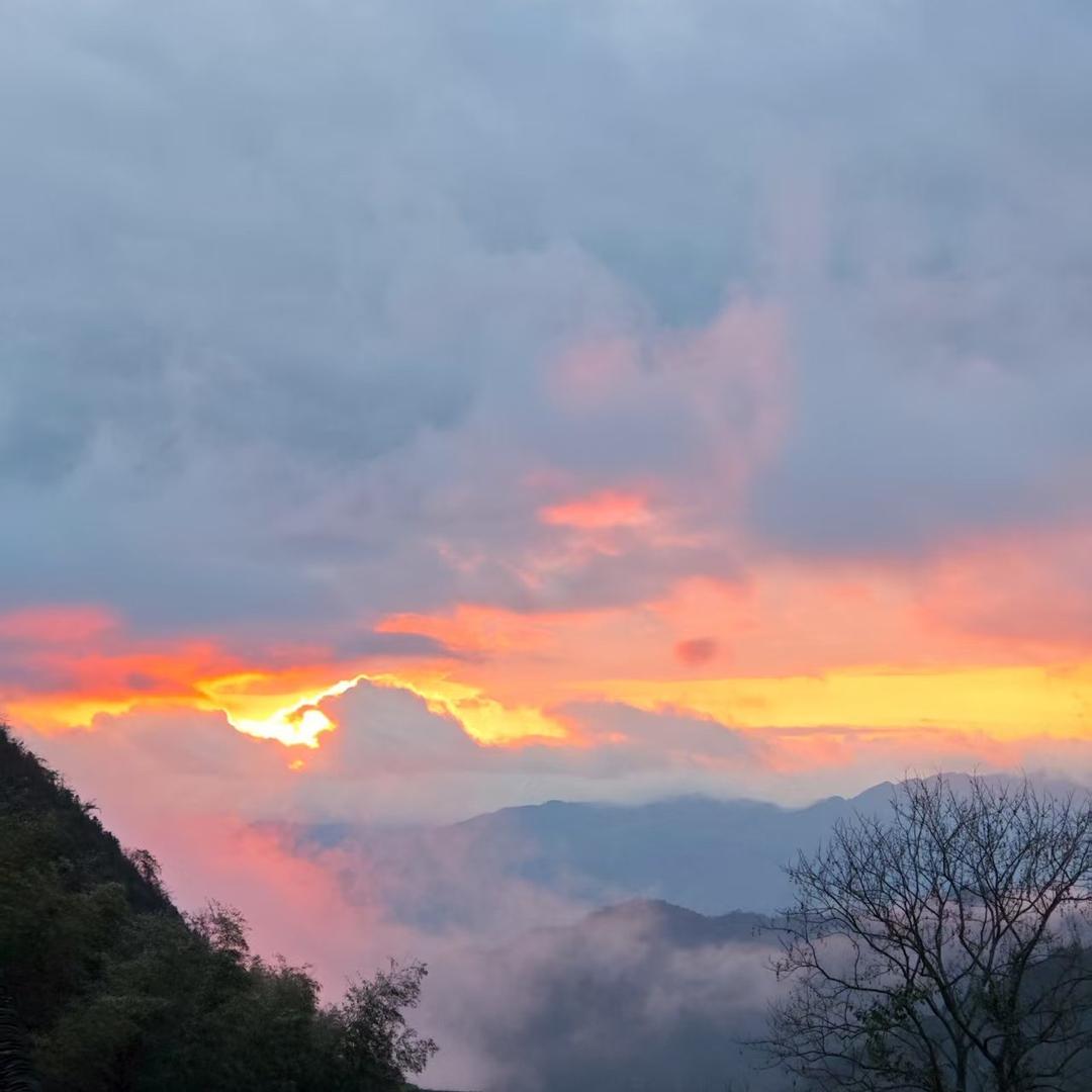 用户名65623699头像