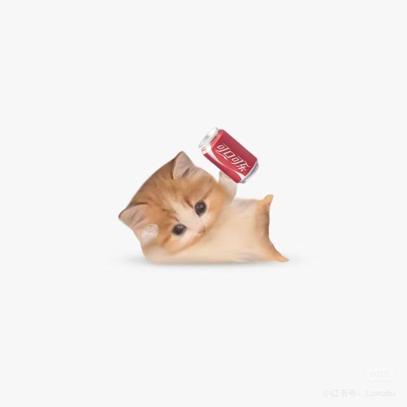月亮臾
