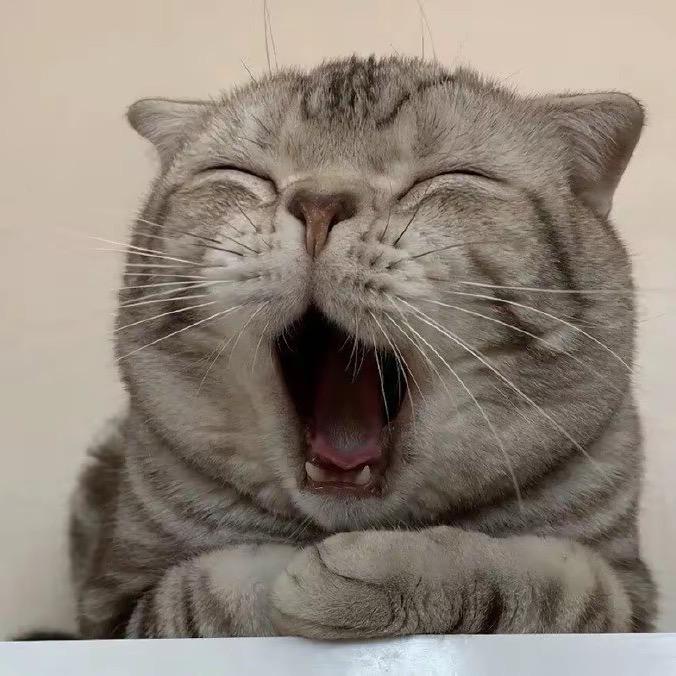 晚