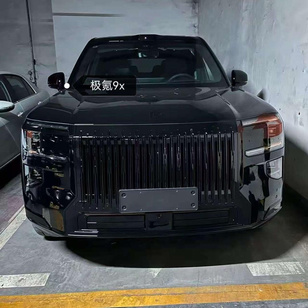 娜娜的爱车极氪9x