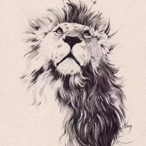 瘦瘦爱上肥肉肉