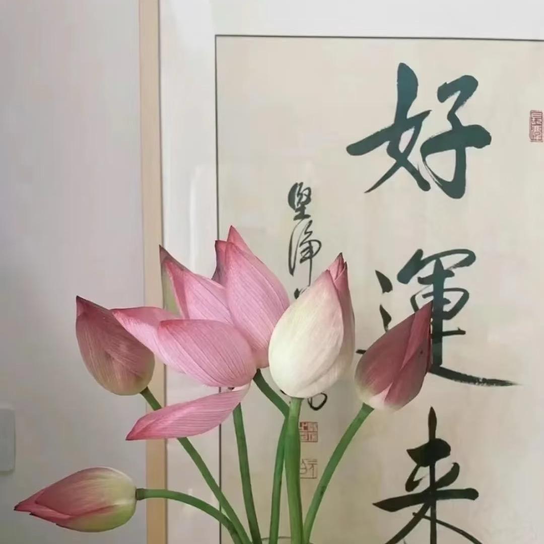 鑫垚👗💃