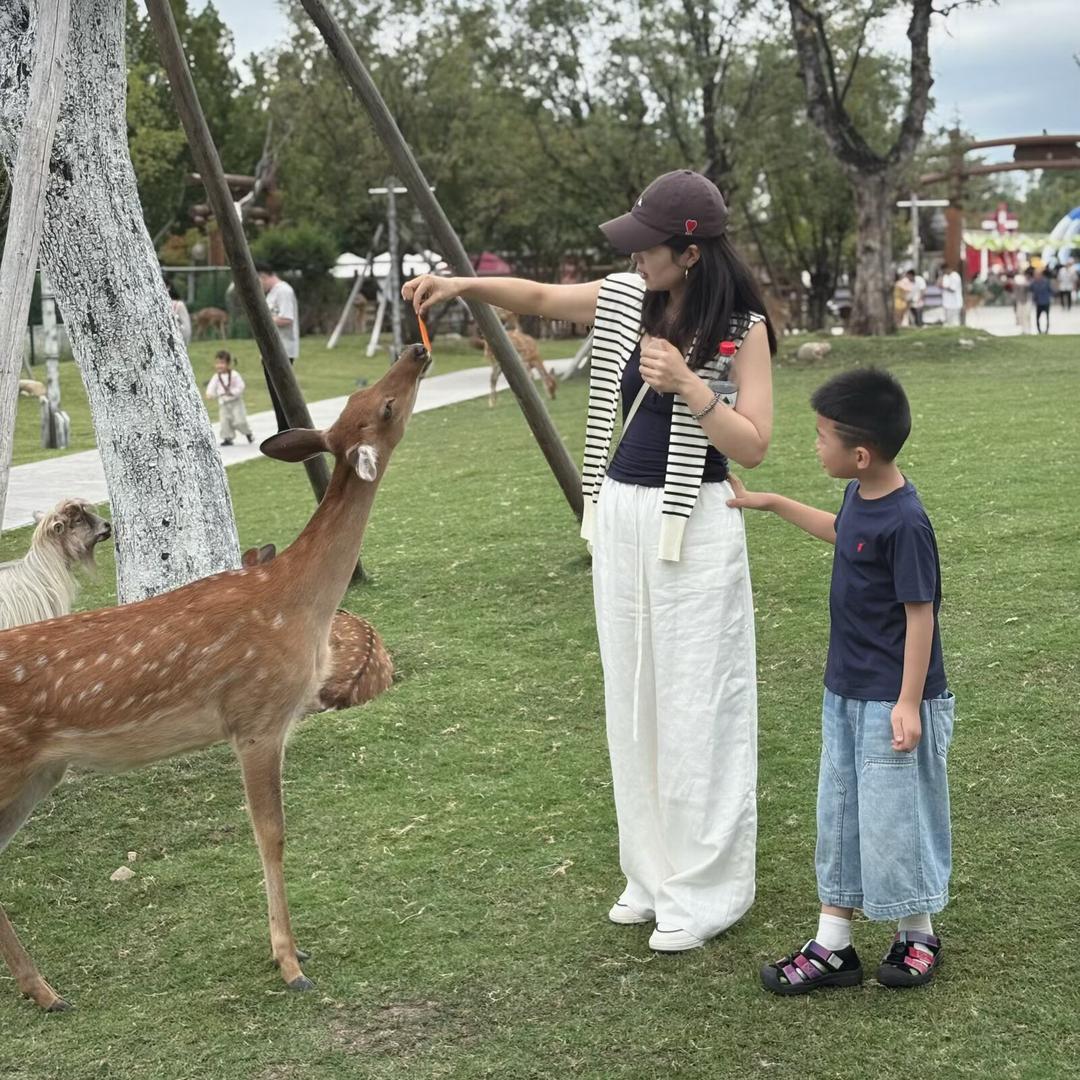 石头妈妈爱分享
