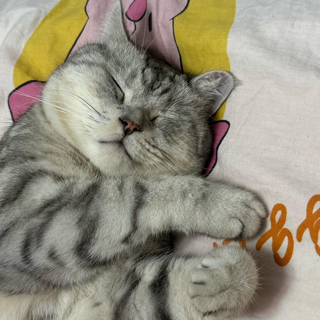 好物品分享～胡