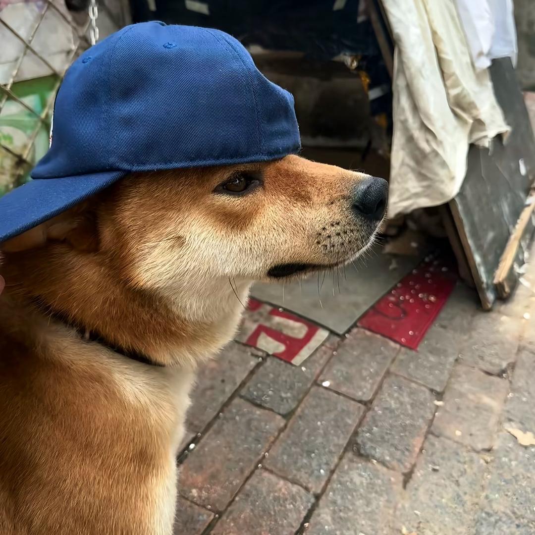 神