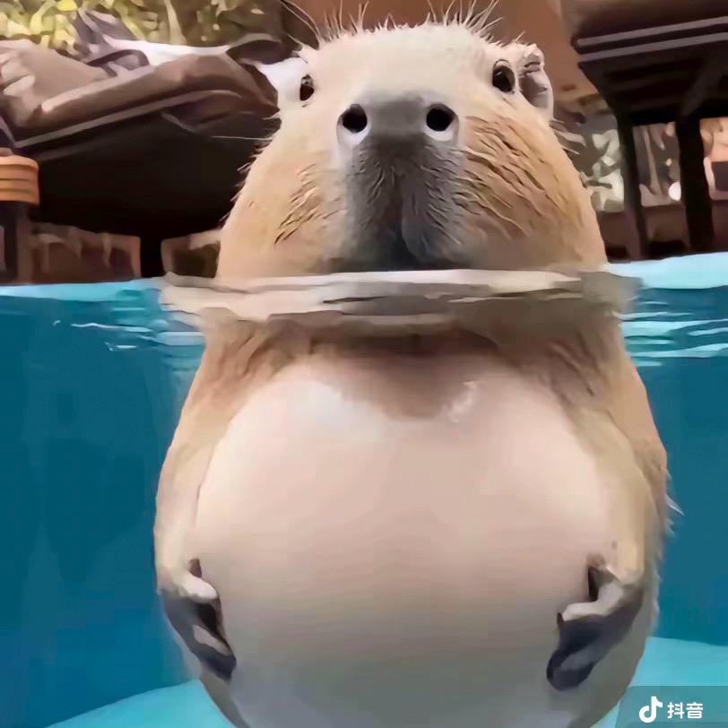 爱吃土豆泥