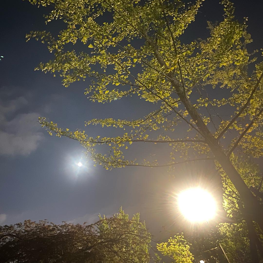 小樱桃🍒