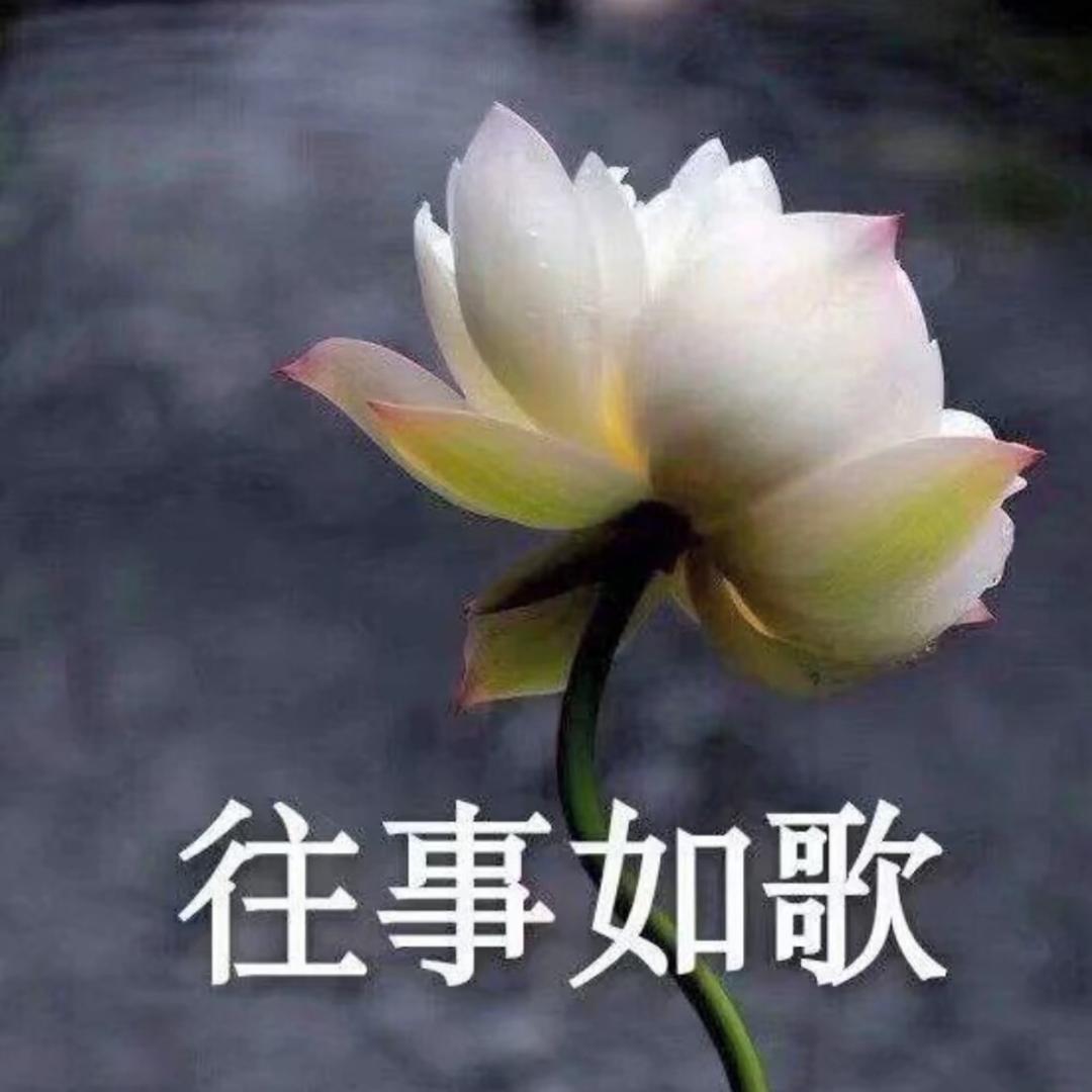 崽崽。