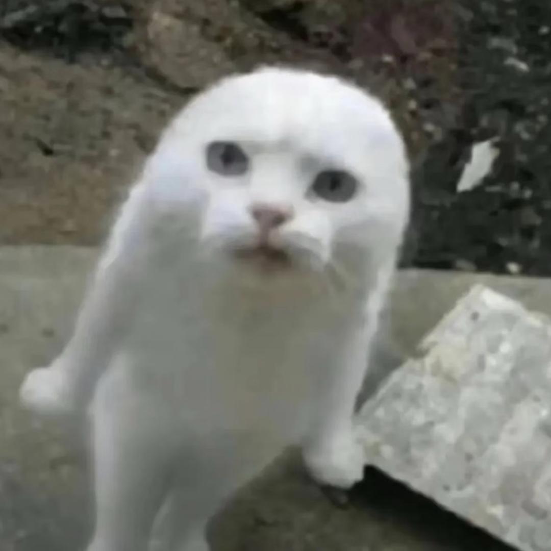 あ川