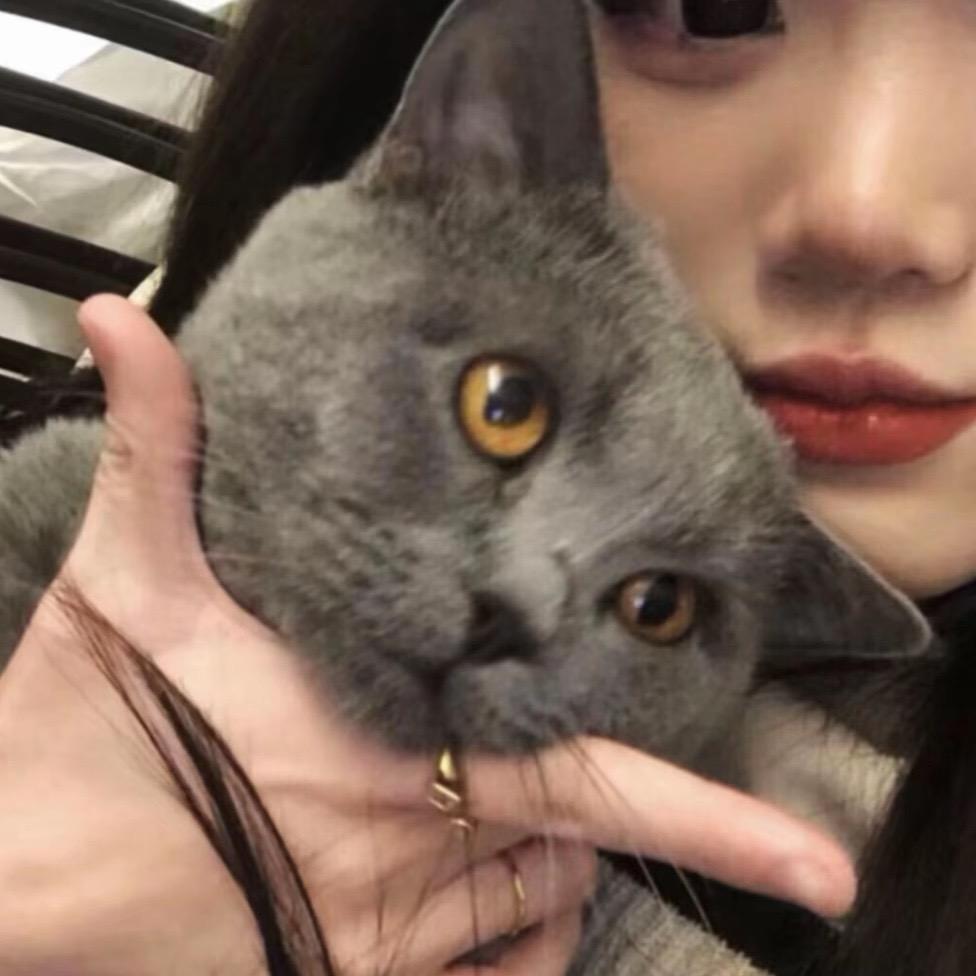 前妻姐.🫧