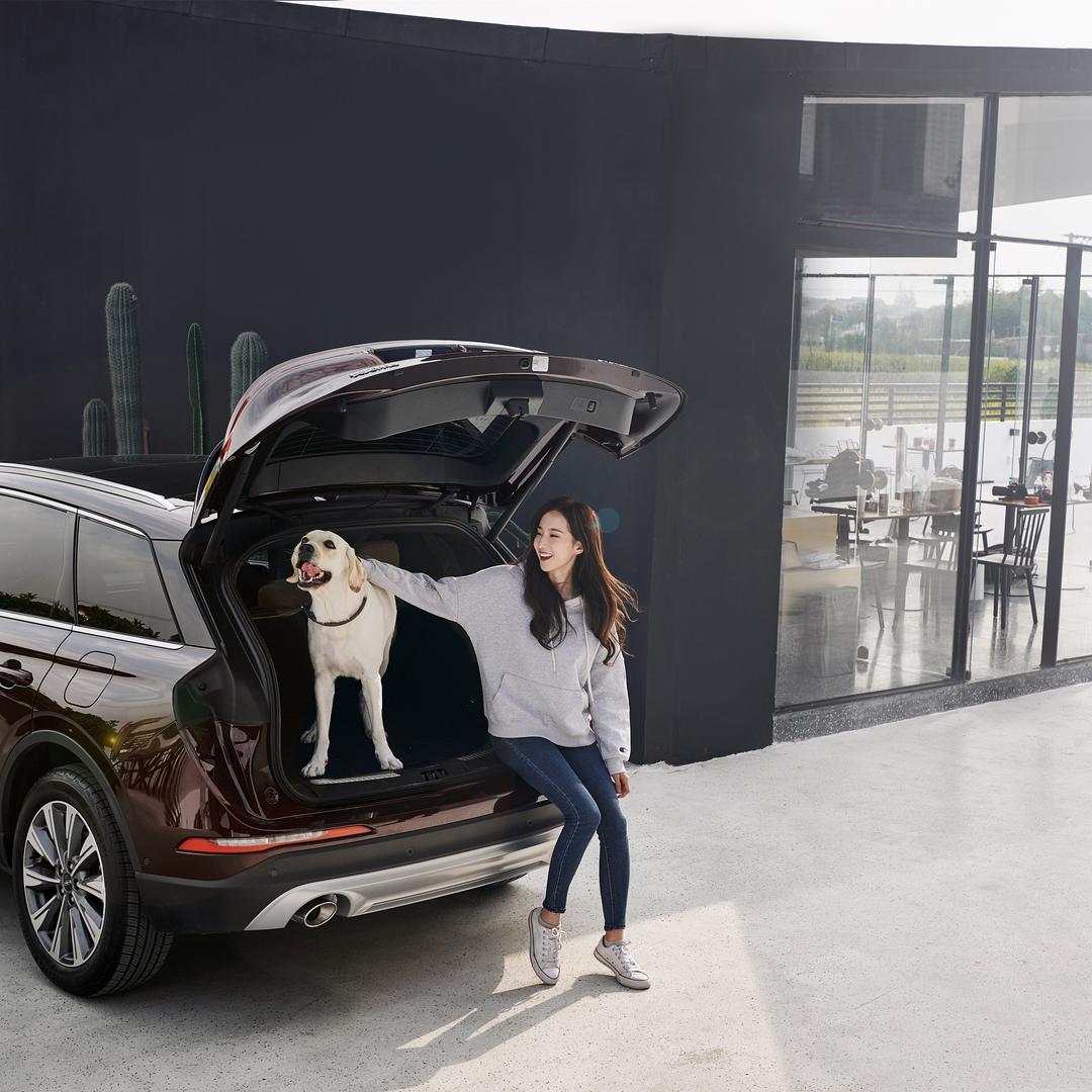 汽博星耀名车汇