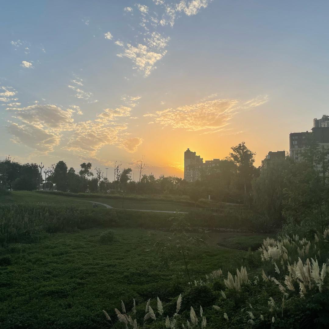 我只需略微出手