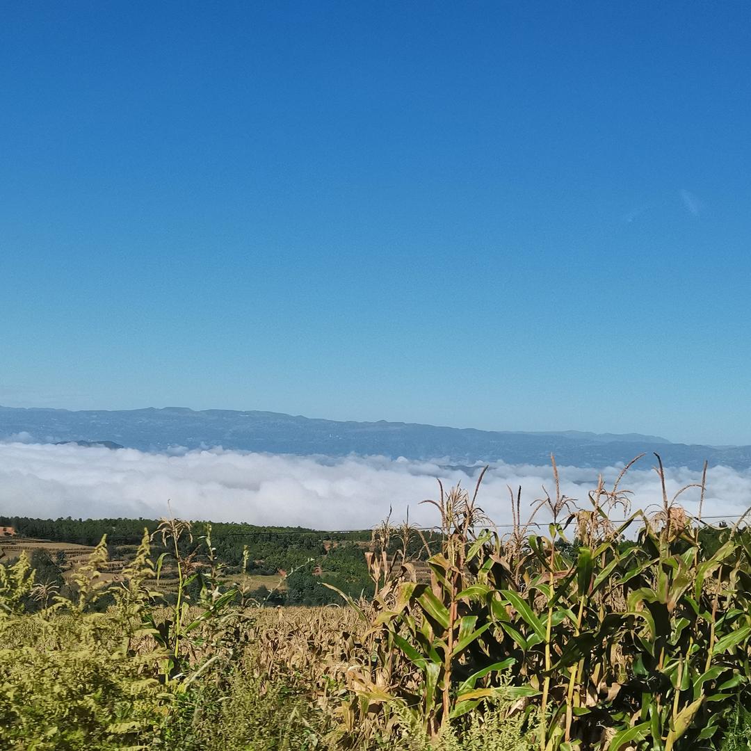 此号已停用