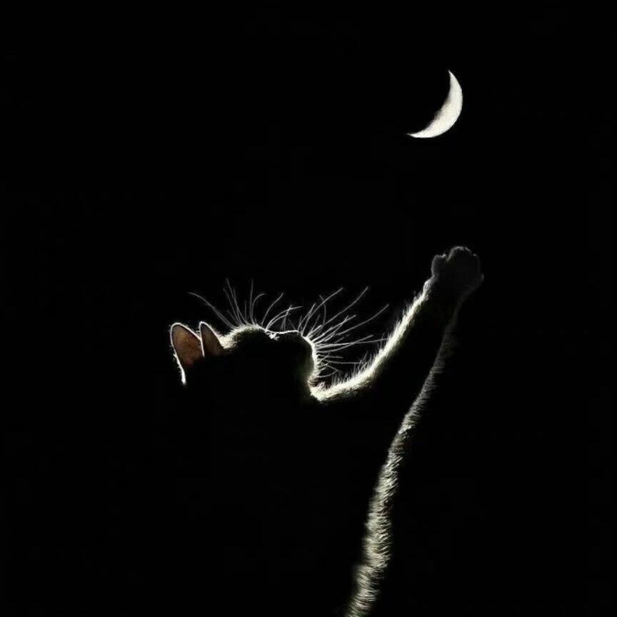 𝓓𝓮𝓼𝓽𝓲𝓷𝓪𝓽𝓲𝓸