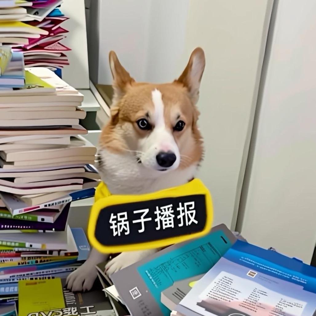 锅子播报