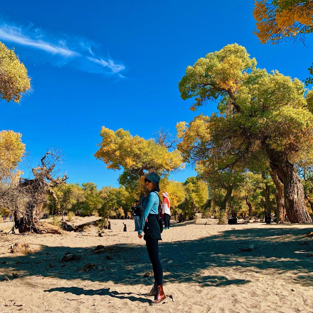 黄山芊语民宿🌸