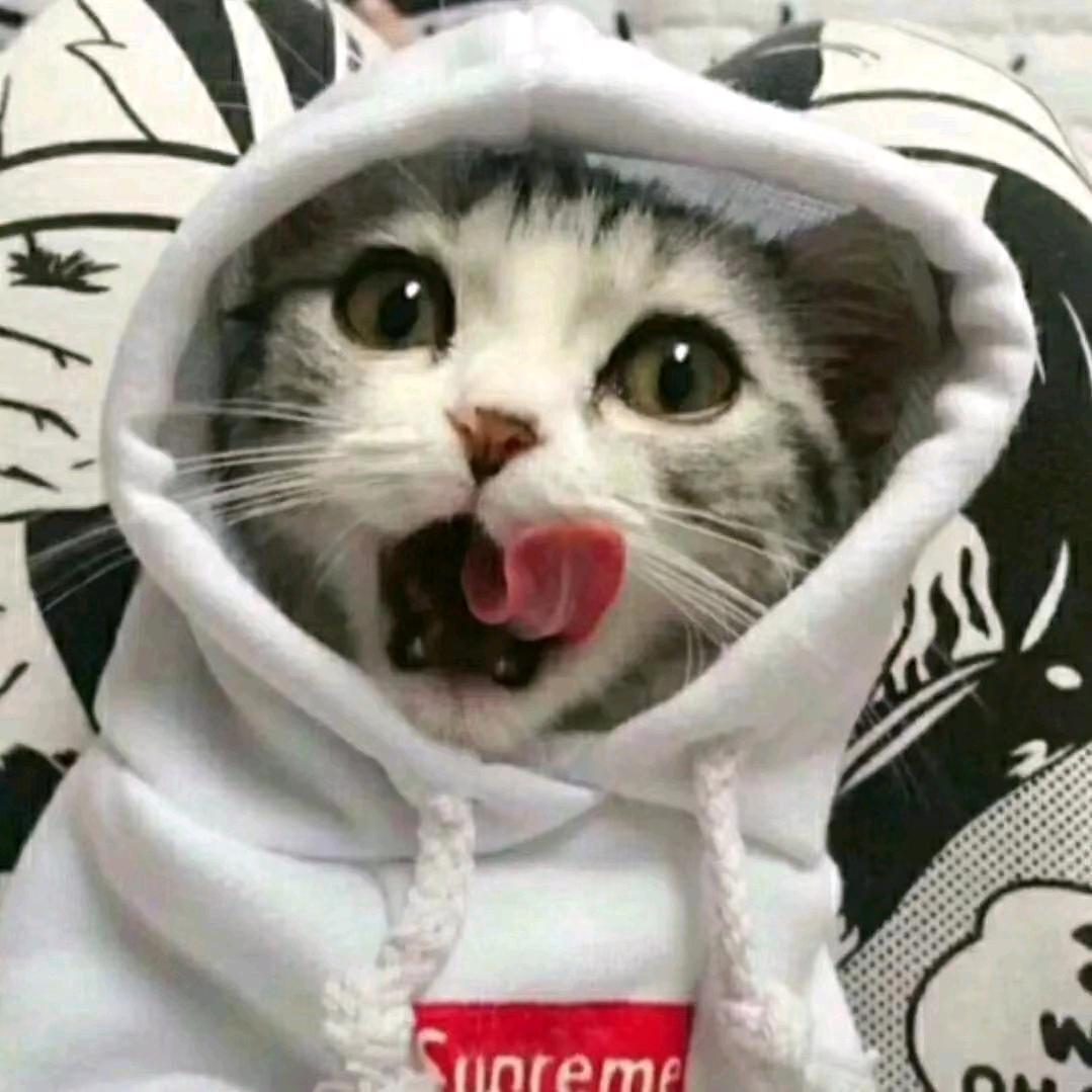 小琦百货