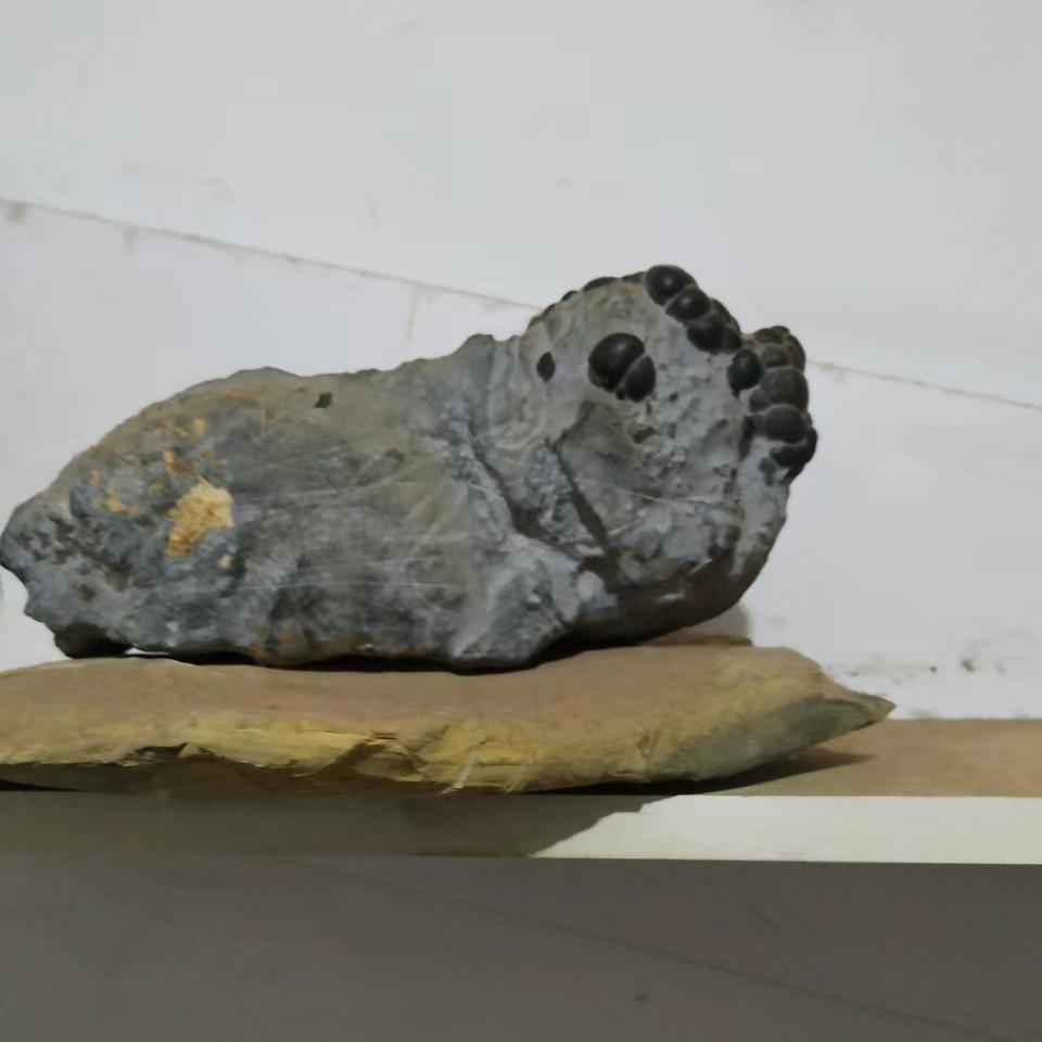 灵壁石文化小山房