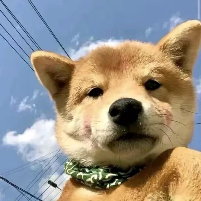 油腔滑调不能在加油站工作丶