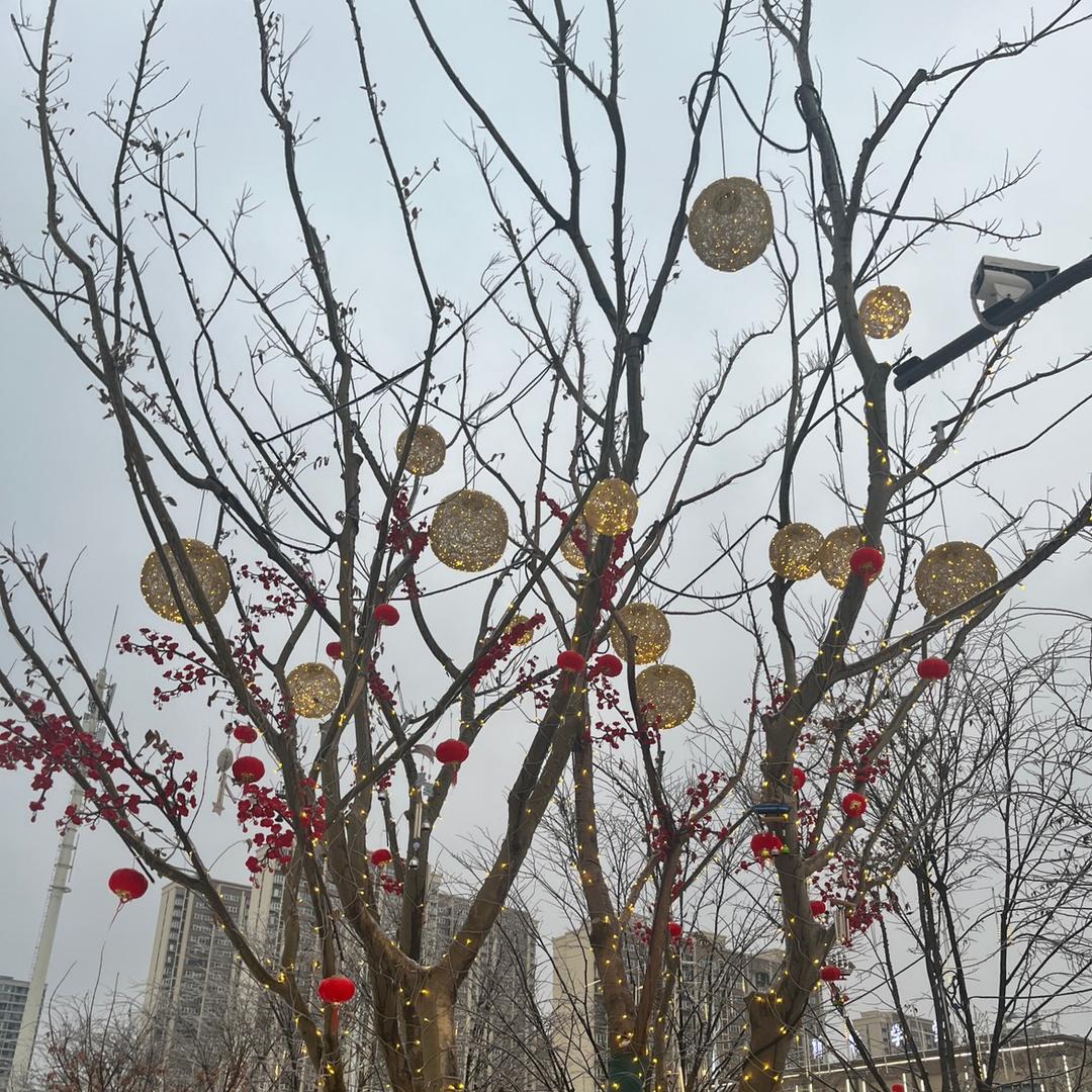 意难平，也得平